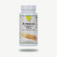 Astragale 