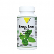 Basilic Sacré Tulsi