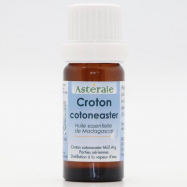 Huile essentielle de Croton cotoneaster