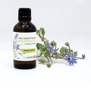 Bourrache Bio