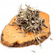 Sauge officinale Bio
