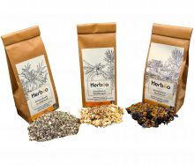 Rooibos des mages 