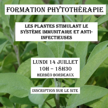 Formation Phytothérapie