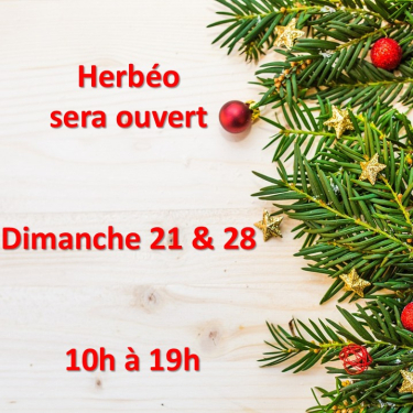 Ouvert     Dimanche 21 et 28       10h -19h