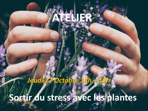 Sortir du stress avec les plantes