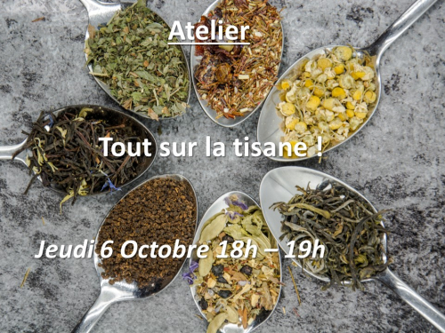 Atelier Tisane