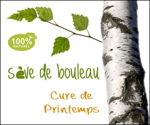 Dégustation de Sève de Bouleau