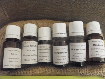 Découverte Aroma