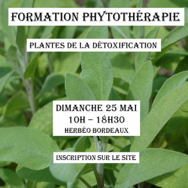 Formation Phytothérapie