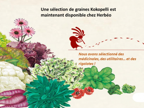 Faites poussez vos plantes !