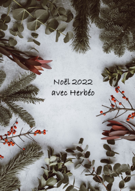 Très bon Noël avec Herbéo