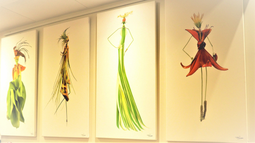 Exposition des herbettes de François Maurisse