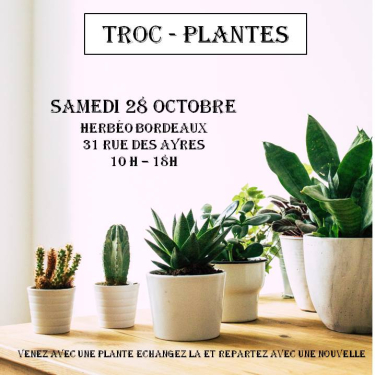 Troc - Plantes