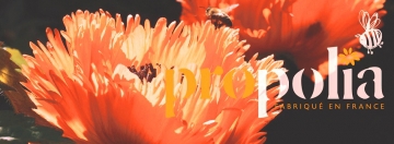 La propolis une nouvelle offre étendue chez Herbéo