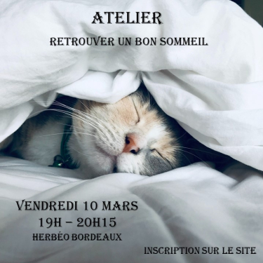 Atelier Ressourcement de Printemps