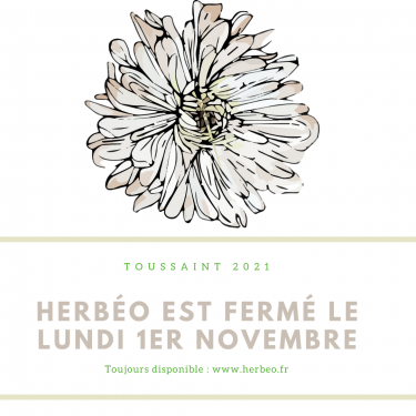 Nous sommes fermés le lundi 1er Novembre